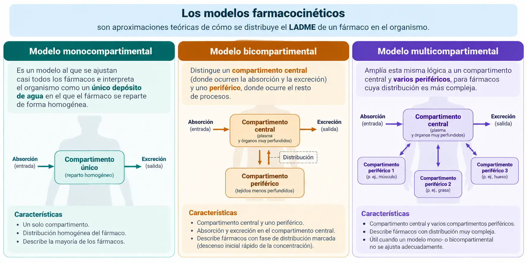 Comparación de los modelos farmacocinéticos monocompartimental, bicompartimental y multicompartimental